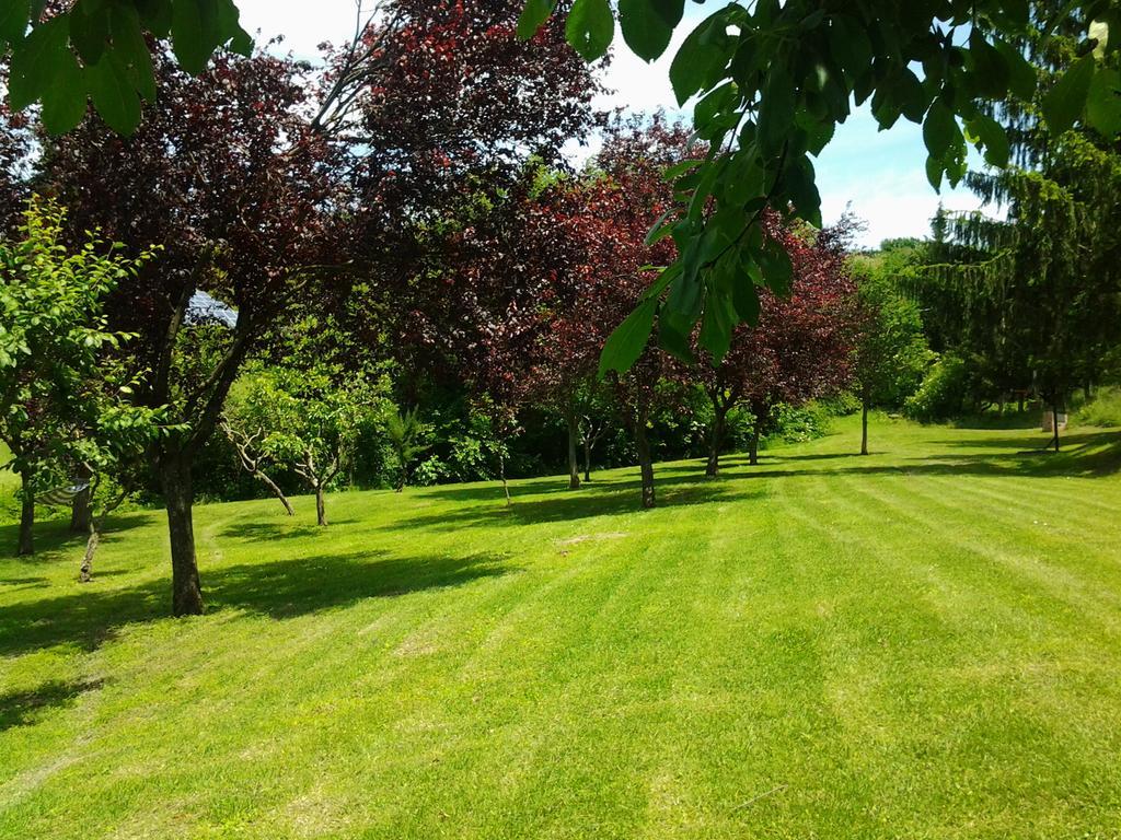 Agriturismo Gioie Di Campagna 法布里亚诺 外观 照片
