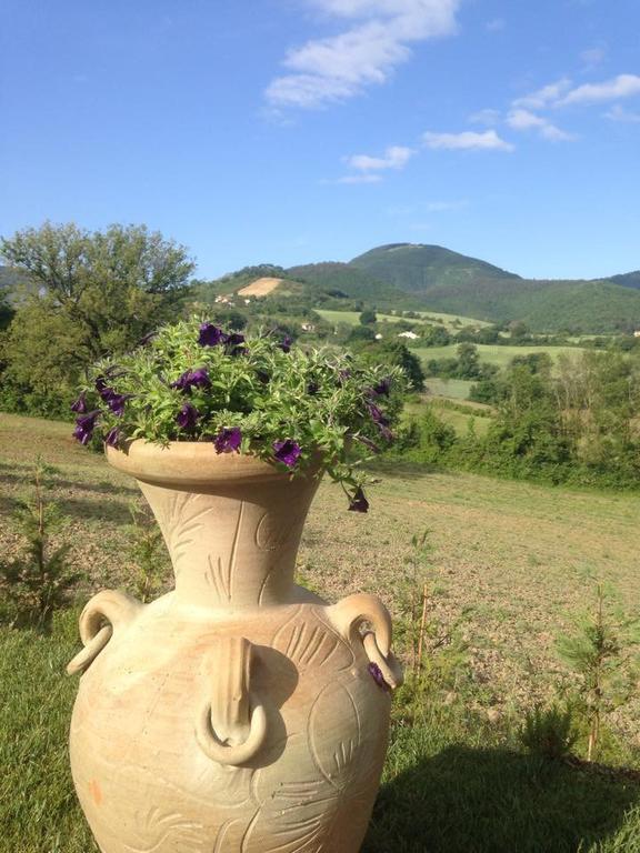 Agriturismo Gioie Di Campagna 法布里亚诺 外观 照片