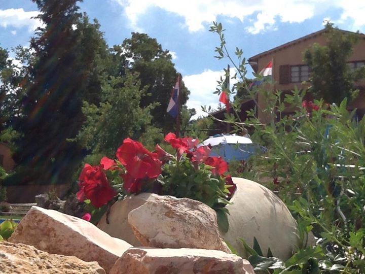 Agriturismo Gioie Di Campagna 法布里亚诺 外观 照片