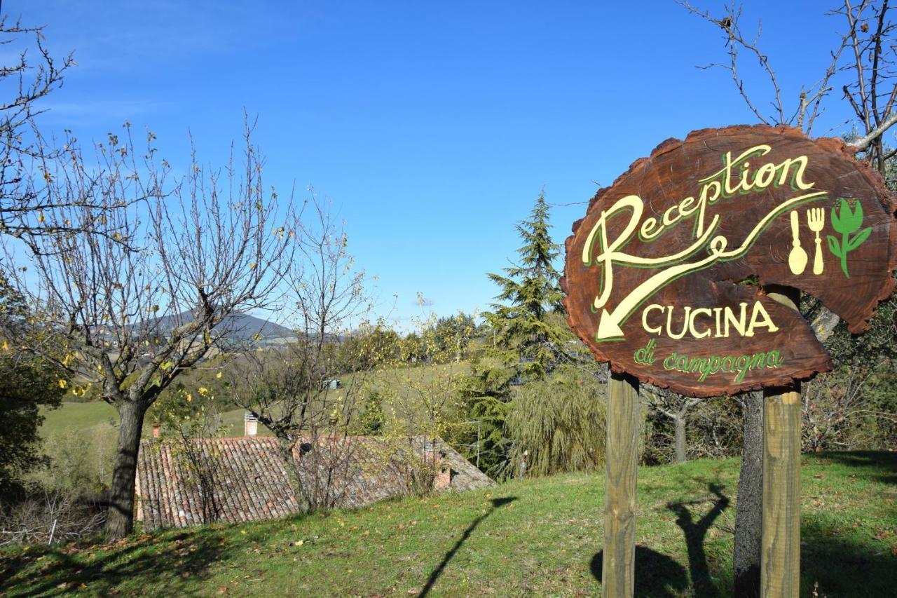 Agriturismo Gioie Di Campagna 法布里亚诺 外观 照片