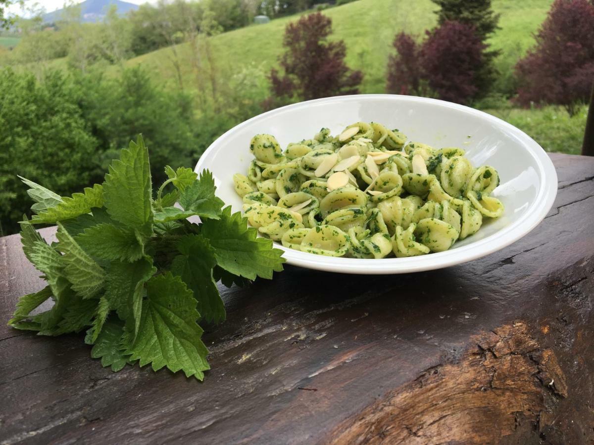 Agriturismo Gioie Di Campagna 法布里亚诺 外观 照片