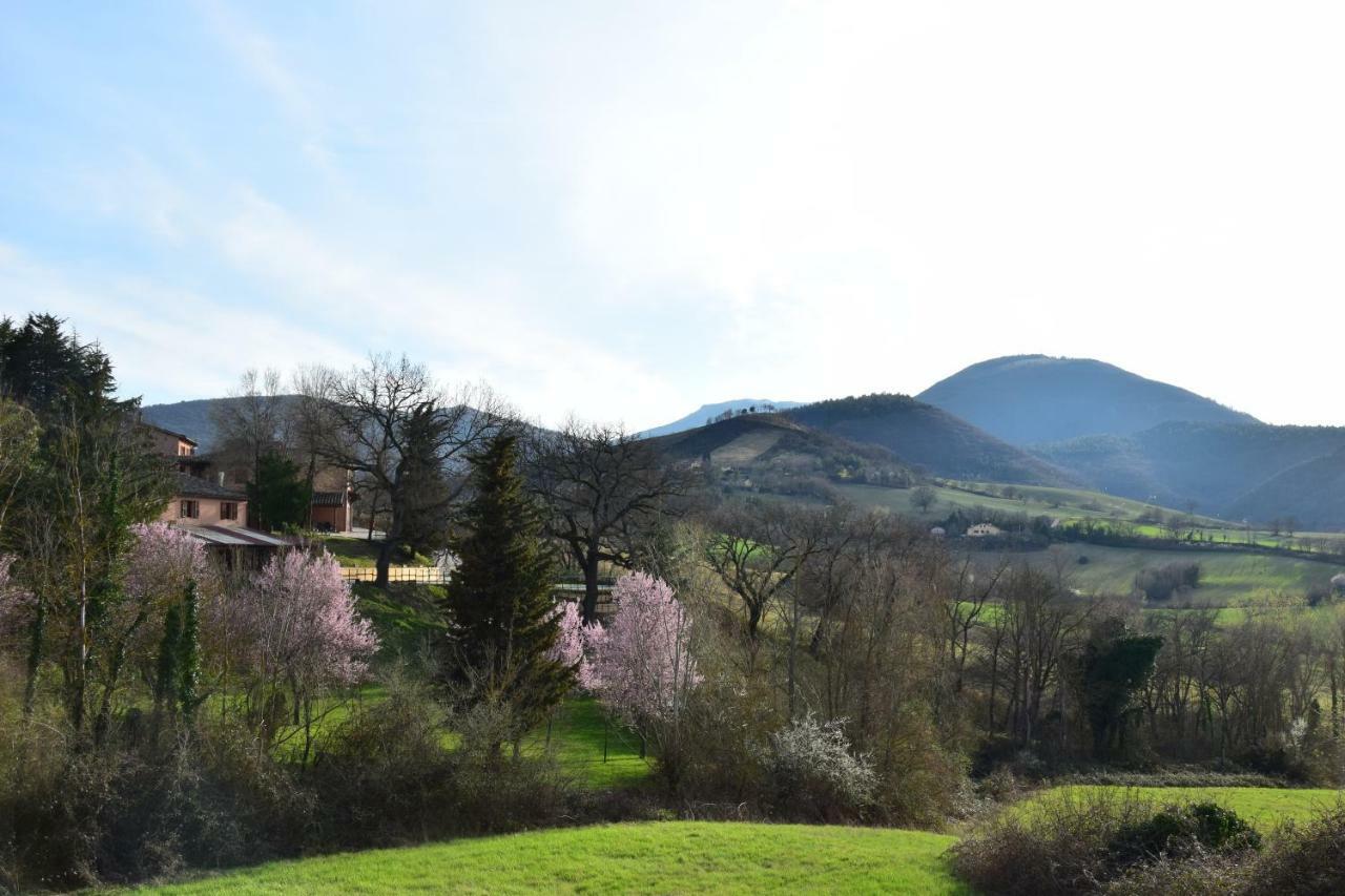 Agriturismo Gioie Di Campagna 法布里亚诺 外观 照片